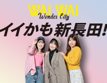 ���R�[���V���c���~�i�Q�[�g