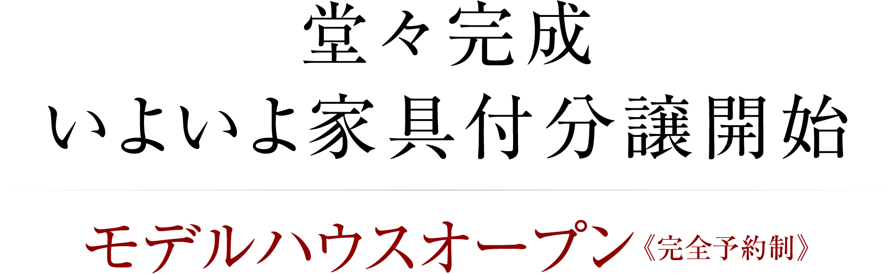 堂々完成いよいよ家具付分譲開始 モデルハウスオープン《完全予約制》