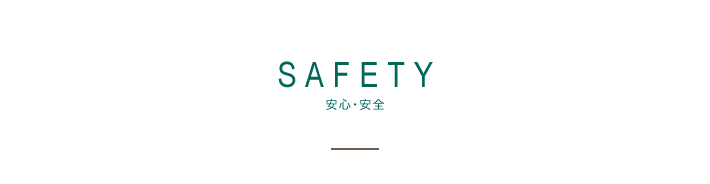 SAFETY SES