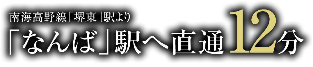 南海高野線「堺東」駅より「なんば」駅へ直通12分