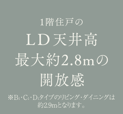 1階住戸のLD天井高最大約2.8mの開放感 ※B1・C1・D1タイプのリビング・ダイニングは約2.9mとなります。